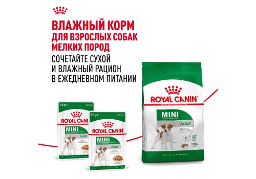 Royal Canin Mini Adult / Сухой корм Роял Канин Мини Эдалт для взрослых собак Мелких пород в возрасте от 10 месяцев до 8 лет