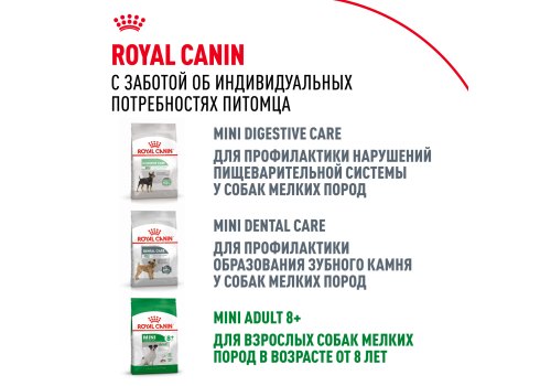 Royal Canin Mini Adult / Сухой корм Роял Канин Мини Эдалт для взрослых собак Мелких пород в возрасте от 10 месяцев до 8 лет
