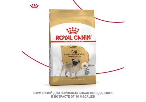 Royal Canin Breed dog Pug Adult / Сухой корм Роял Канин для взрослых собак породы Мопс старше 10 месяцев