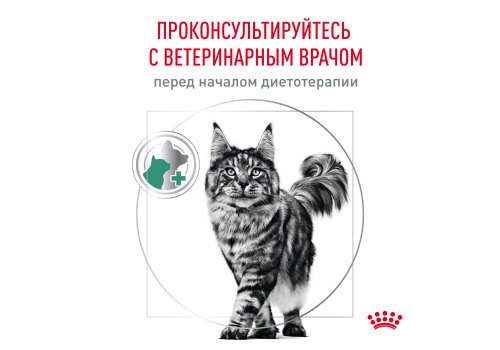 Royal Canin Diabetic / Ветеринарный влажный корм (Консервы-Паучи) Роял Канин Диабетик для кошек Сахарный диабет (цена за упаковку)
