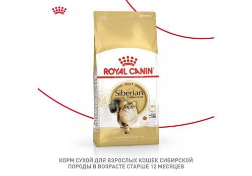 Royal Canin Breed cat Siberian / Сухой корм Роял Канин для взрослых кошек Сибирской породы старше 1 года
