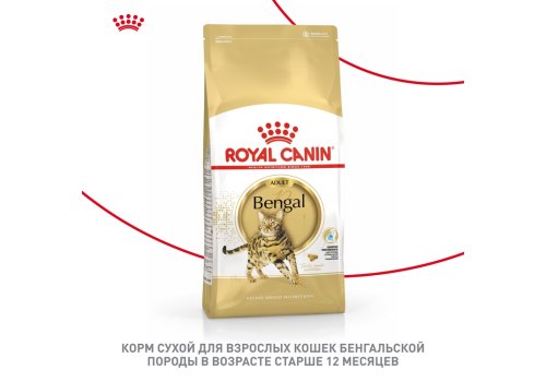 Royal Canin Breed cat Bengal / Сухой корм Роял Канин для Бенгальских кошек старше 1 года