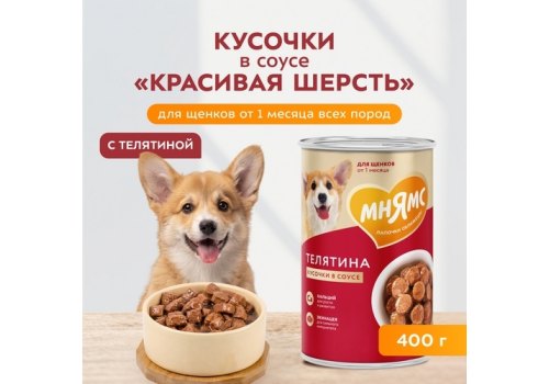 Мнямс Правильное Развитие Влажный корм Консервы для Щенков всех пород Кусочки в соусе с Телятиной (цена за упаковку)