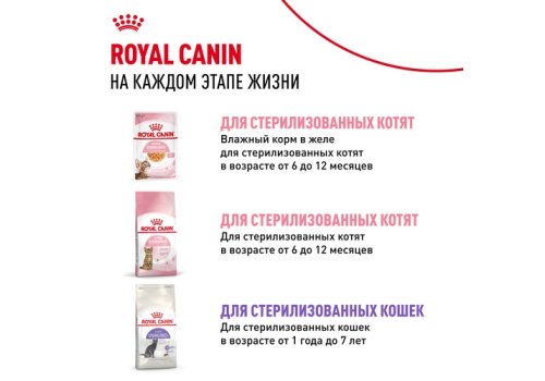 Royal Canin Kitten / Мультипак 10 штук Влажный корм (Консервы-Паучи) Роял Канин Киттен для Котят в возрасте от 4 до 12 месяцев в Соусе и в Желе (цена за упаковку)