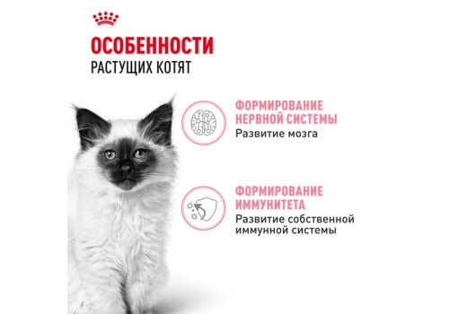 Royal Canin Kitten / Мультипак 10 штук Влажный корм (Консервы-Паучи) Роял Канин Киттен для Котят в возрасте от 4 до 12 месяцев в Соусе и в Желе (цена за упаковку)