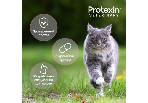 Protexin Cystophan / Капсулы для поддержания здоровья мочевыводящих путей у кошек