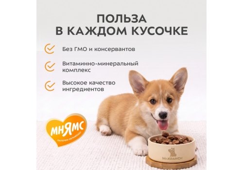 Мнямс Правильное Развитие Влажный корм Консервы для Щенков всех пород Кусочки в соусе с Телятиной (цена за упаковку)