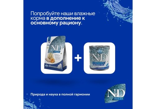 Farmina N&D Ocean Line Puppy Medium Maxi Cod Pumpkin&Cantaloupe Melon Grain free / Сухой Беззерновой корм Фармина для Щенков Средних и Крупных пород Треска Тыква и Мускусная дыня