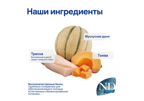 Farmina N&D Ocean Line Adult Mini Codfish Pumpkin Orange / Сухой Беззерновой корм Фармина для взрослых собак Мелких пород Треска с Тыквой и Апельсином
