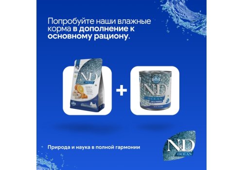 Farmina N&D Ocean Line Adult Mini Codfish Pumpkin Orange / Сухой Беззерновой корм Фармина для взрослых собак Мелких пород Треска с Тыквой и Апельсином