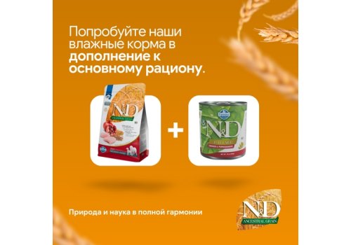 Farmina N&D Ancestral Grain Adult Mini Chicken Spelt Oats Pomegranate / Сухой Низкозерновой корм Фармина для взрослых собак Мелких и Карликовых пород Курица с Гранатом