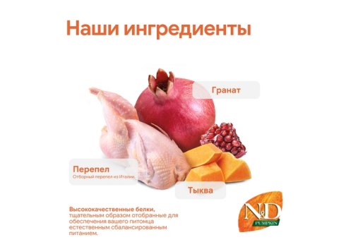 Farmina N&D Pumpkin Line Adult Pumpkin Quail Grain free / Сухой Беззерновой корм Фармина для взрослых кошек Перепел с Тыквой