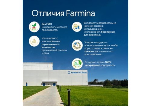 Farmina N&D Pumpkin Line Adult Pumpkin Quail Grain free / Сухой Беззерновой корм Фармина для взрослых кошек Перепел с Тыквой