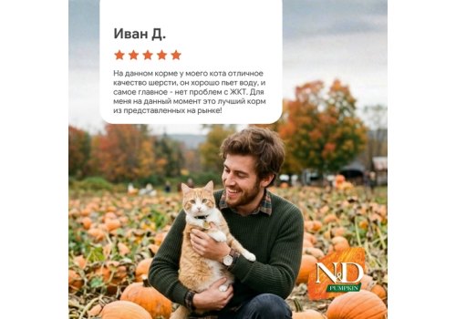 Farmina N&D Pumpkin Line Adult Pumpkin Quail Grain free / Сухой Беззерновой корм Фармина для взрослых кошек Перепел с Тыквой