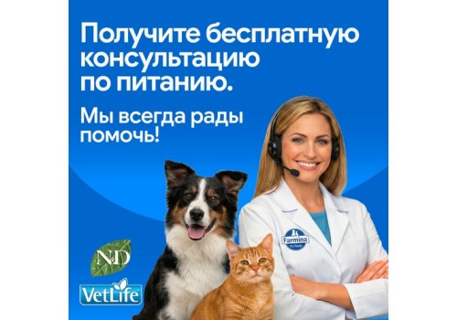 Farmina N&D Pumpkin Line Adult Pumpkin Quail Grain free / Сухой Беззерновой корм Фармина для взрослых кошек Перепел с Тыквой