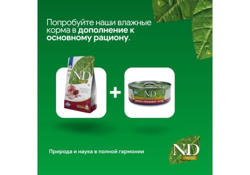 Farmina Kitten N&D Prime Line Chicken & Pomegranate Grain free / Сухой Беззерновой корм Фармина для Котят Курица с Гранатом