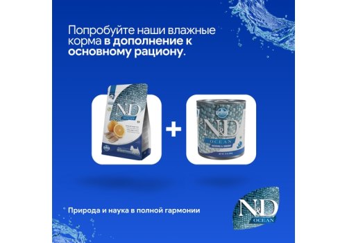 Farmina N&D Ocean Line Adult Mini Herring & Orange Grain free / Сухой Беззерновой корм Фармина для взрослых собак Мелких пород Сельдь с Апельсином