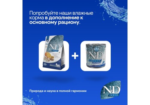 Farmina N&D Ocean Line Adult Mini Codfish Spelt Oats Orange Low Grain / Сухой Низкозерновой корм Фармина для взрослых собак Мелких пород Треска с Пшеницей Овсом и Апельсином