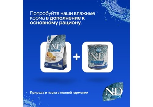 Farmina N&D Ocean Line Adult Medium Maxi Codfish Spelt Oats Orange Low grain / Сухой Низкозерновой корм Фармина для взрослых собак Средних и Крупных пород Треска с Пшеницей Овсом и Апельсином