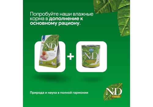 Farmina N&D Prime Line Adult Medium Maxi Boar & Apple Grain free / Сухой Беззерновой корм Фармина для взрослых собак Средних и Крупных пород Кабан с Яблоком