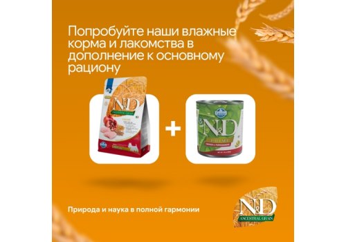Farmina N&D Ancestral Grain Puppy Starter Chicken & Pomegranate / Сухой Низкозерновой корм Фармина для Новорожденных Щенков с момента отъема от матери Курица и Гранат
