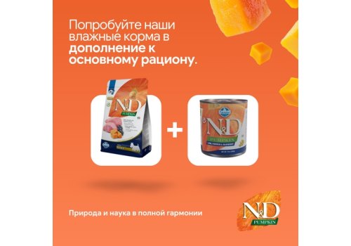 Farmina N&D Pumpkin Line Adult Mini Lamb & Blueberry Grain free / Сухой Беззерновой корм Фармина для взрослых собак Мелких пород Ягненок с Черникой и Тыквой