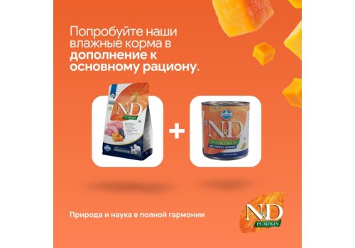 Farmina N&D Pumpkin Line Adult Medium & Maxi Lamb & Blueberry Grain free / Сухой Беззерновой корм Фармина для взрослых собак Средних и Крупных пород Ягненок с Черникой и Тыквой