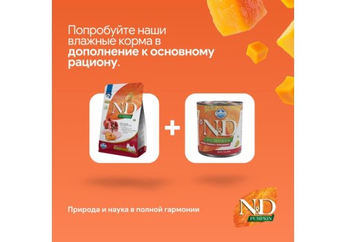 Farmina N&D Pumpkin Line Adult Mini Chicken & Pomegranate Grain free / Сухой Беззерновой корм Фармина для взрослых собак Мелких пород Курица с Гранатом и Тыквой