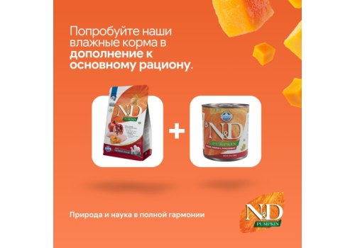 Farmina N&D Pumpkin Line Adult Medium & Maxi Chicken & Pomegranate Grain free / Сухой Беззерновой корм Фармина для взрослых собак Средних и Крупных пород Курица с Гранатом и Тыквой