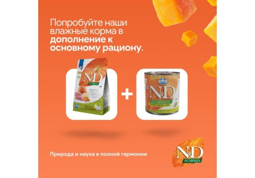Farmina N&D Pumpkin Line Adult Mini Boar & Apple Grain free / Сухой Беззерновой корм Фармина для взрослых собак Мелких пород Кабан с Яблоком и Тыквой