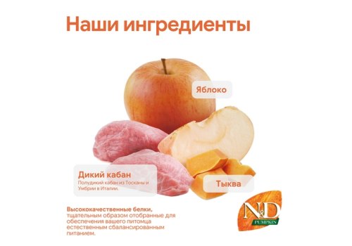 Farmina N&D Pumpkin Line Adult Medium & Maxi Boar & Apple Grain free / Сухой Беззерновой корм Фармина для взрослых собак Средних и Крупных пород Кабан с Яблоком и Тыквой