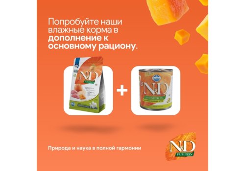 Farmina N&D Pumpkin Line Adult Medium & Maxi Boar & Apple Grain free / Сухой Беззерновой корм Фармина для взрослых собак Средних и Крупных пород Кабан с Яблоком и Тыквой