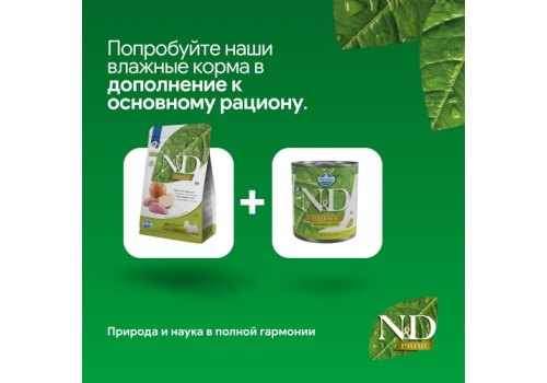 Farmina N&D Prime Line Adult Mini Boar & Apple Grain free / Сухой Беззерновой корм Фармина для взрослых собак Мелких пород Кабан с Яблоком