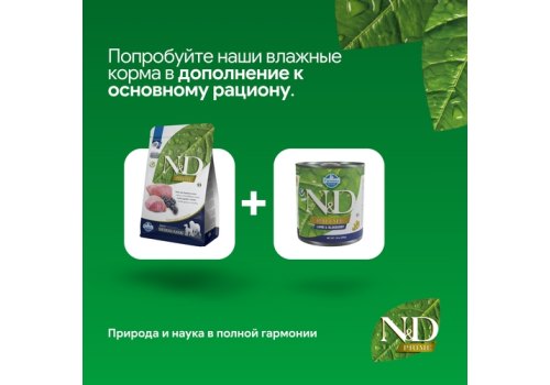 Farmina N&D Prime Line Adult Medium Maxi Lamb & Blueberry Grain free / Сухой Беззерновой корм Фармина для взрослых собак Средних и Крупных пород Ягненок с Черникой