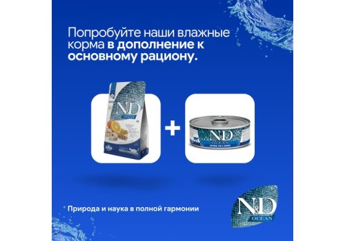 Farmina N&D Ocean Line Adult Condish Spelt Oats Orange Low Grain / Сухой Низкозерновой корм Фармина для взрослых кошек Треска с Пшеницей Овсом и Апельсином