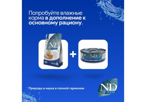 Farmina Kitten N&D Ocean Line Cod Shrimp Pumpkin & Cantaloupe Grain free / Сухой Беззерновой корм Фармина для Котят Треска Креветка Тыква и Мускусная дыня