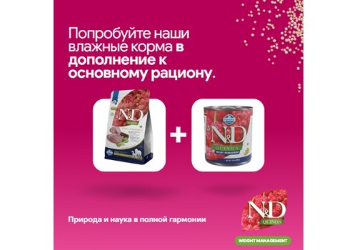 Farmina N&D Quinoa Line Weight Management Adult Mini Lamb Grain free / Сухой Беззерновой корм Фармина для взрослых собак Мелких пород Контроль Веса Ягненок с Киноа