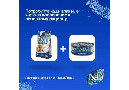 Farmina N&D Ocean Line Adult Herring Pumpkin & Orange / Сухой Беззерновой корм Фармина для взрослых кошек Сельдь с Тыквой и Апельсином