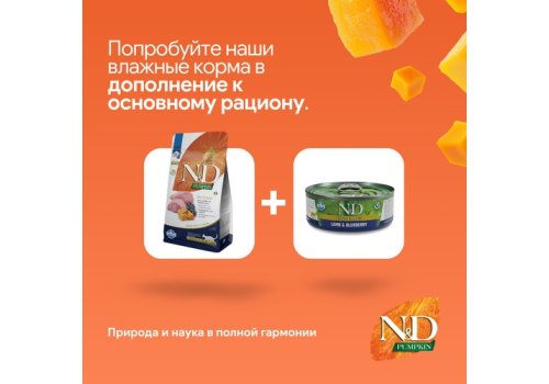 Farmina N&D Pumpkin Line Adult Neutered Lamb & Blueberry Grain free / Сухой Беззерновой корм Фармина для взрослых Стерилизованных кошек и Кастрированных котов Ягненок и Черника с Тыквой
