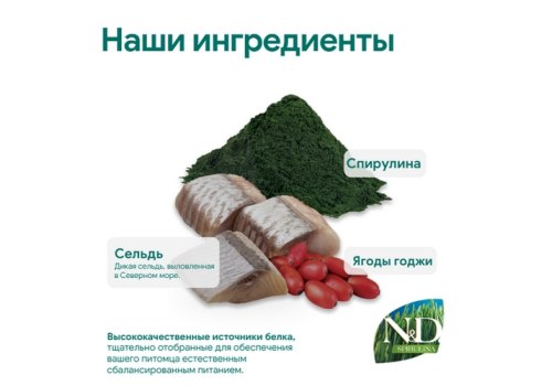 Farmina Kitten N&D Spirulina Herring & Wolfberry / Сухой корм Фармина для Котят Сельдь и ягоды годжи
