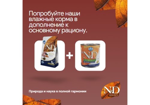 Farmina N&D GF Brown Lamb Spirulina & Carrot Adult Mini / Сухой корм Фармина для взрослых собак Мелких пород Ягненок и морковь