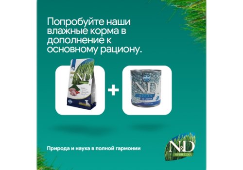 Farmina N&D Puppy Spirulina Lamb & Wolfberry Mini / Сухой корм Фармина для Щенков Мелких пород Ягненок и ягоды годжи
