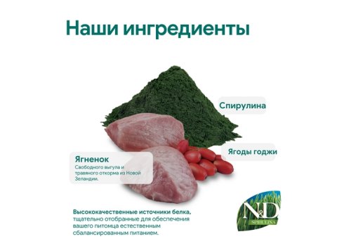 Farmina N&D Spirulina Lamb & Wolfberry Adult Mini / Сухой корм Фармина для взрослых собак Мелких пород Ягненок и ягоды годжи
