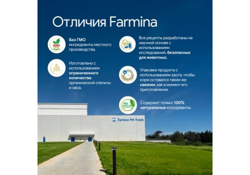 Farmina N&D Spirulina Lamb & Wolfberry Adult Medium & Maxi / Сухой корм Фармина для собак Средних и Крупных пород Ягненок и ягоды годжи