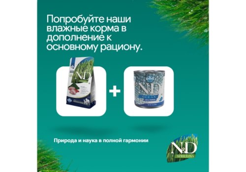 Farmina N&D Spirulina Lamb & Wolfberry Adult Medium & Maxi / Сухой корм Фармина для собак Средних и Крупных пород Ягненок и ягоды годжи
