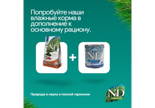 Farmina N&D GF Spirulina Herring & Wolfberry Adult Medium & Maxi / Сухой корм Фармина для собак Средних и Крупных пород Сельдь и ягоды годжи