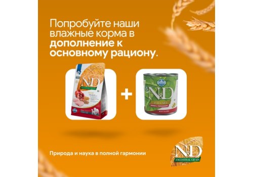 Farmina N&D Ancestral Grain Light Adult Medium Maxi Chicken Spelt Oats Pomegranate / Сухой Низкозерновой корм Фармина для собак Средних и Крупных пород Низкокалорийный Курица с Гранатом