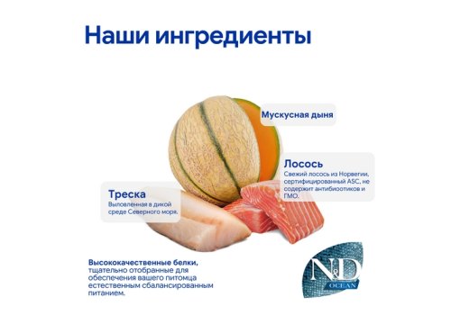 Farmina N&D Ocean Line Adult Mini Salmon Cod & Cantaloupe Melon Grain free / Сухой Беззерновой корм Фармина для взрослых собак Мелких пород Лосось Треска и Муксусная дыня