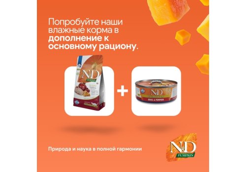 Farmina N&D Pumpkin Line Adult Pumpkin Quail Grain free / Сухой Беззерновой корм Фармина для взрослых кошек Перепел с Тыквой