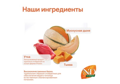 Farmina N&D Pumpkin Line Adult Pumpkin Duck Grain free / Сухой Беззерновой корм Фармина для взрослых кошек Утка с Тыквой